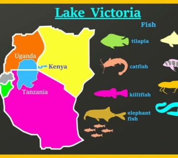 Fishing Group Tours on Lake Victoria & Other African Lakes