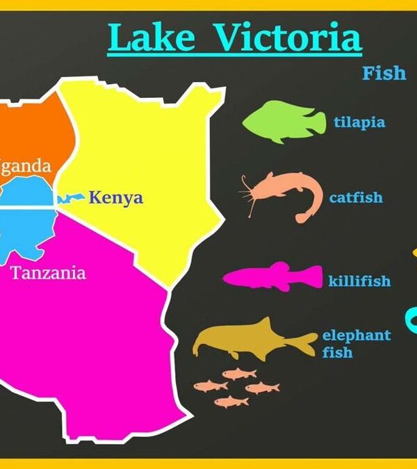 Fishing Group Tours on Lake Victoria & Other African Lakes
