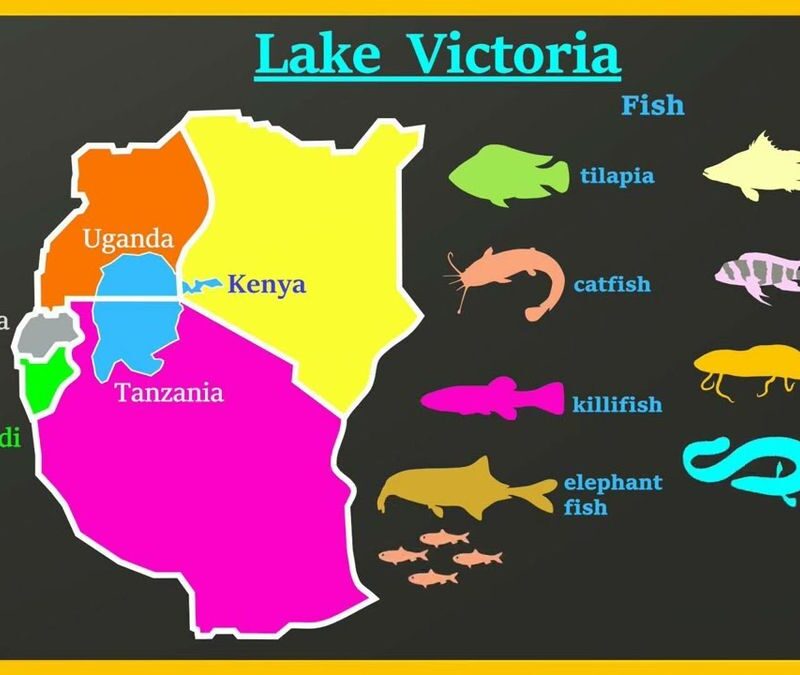 fishing-on-lake-victoria Fishing Group Tours on Lake Victoria & Other African Lakes