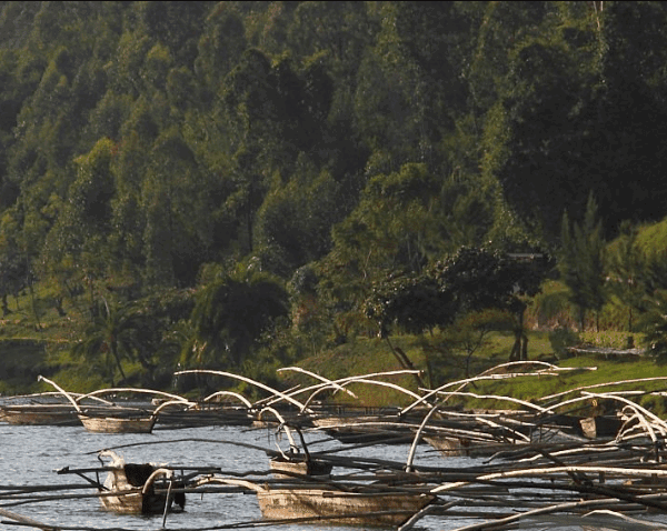 Are There Fishing Restrictions in Rwanda?