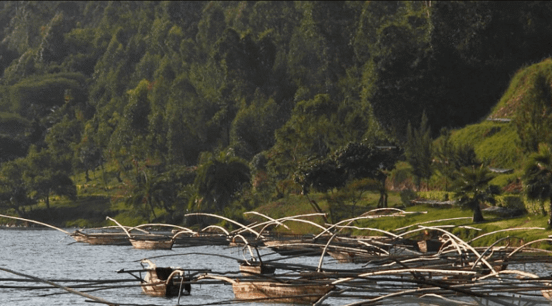 Are There Fishing Restrictions in Rwanda?