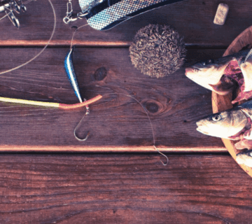 Can You Eat What You Catch on Fishing Trips? 5 Can You Eat What You Catch on Fishing Trips?