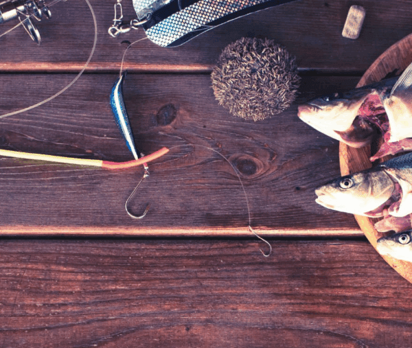 Can You Eat What You Catch on Fishing Trips?