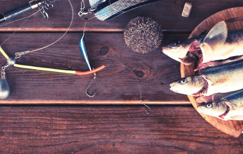 fishing-trips Can You Eat What You Catch on Fishing Trips?