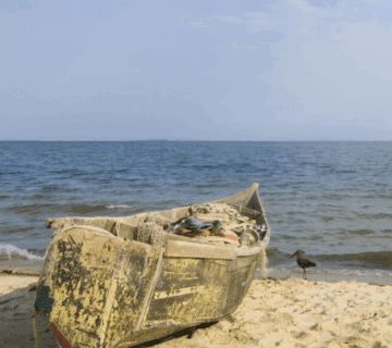 Best Fishing Spots in Lake Victoria, Uganda: A Journey of Adventure and Inspiration