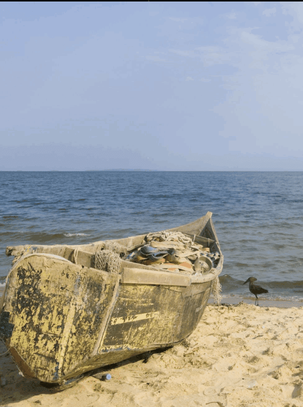 Best Fishing Spots in Lake Victoria, Uganda: A Journey of Adventure and Inspiration