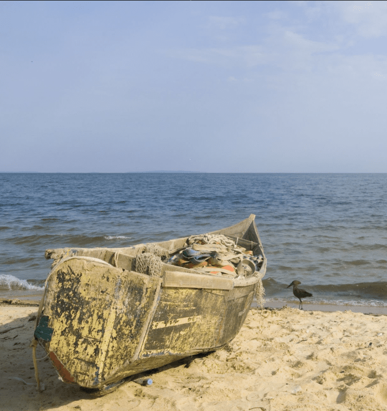 fishinh-on-lake-victoria Best Fishing Spots in Lake Victoria, Uganda: A Journey of Adventure and Inspiration