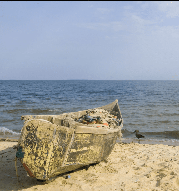Best Fishing Spots in Lake Victoria, Uganda: A Journey of Adventure and Inspiration