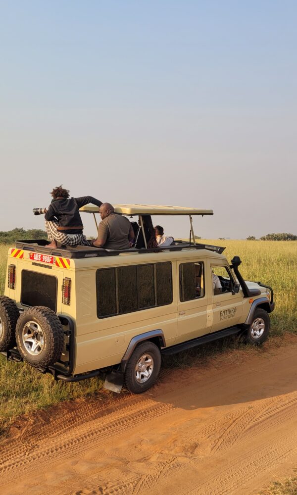 game drive. Group Safaris