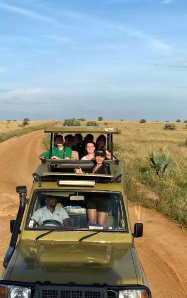 Discover the best time to book group safaris in Uganda for unforgettable wildlife and scenic adventures 