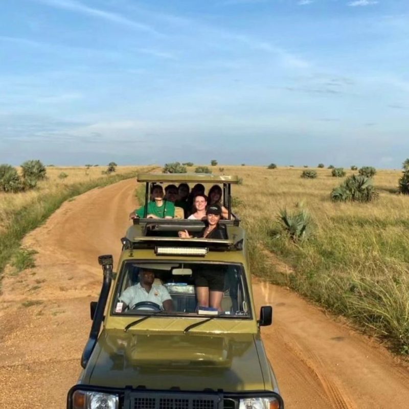 Discover the best time to book group safaris in Uganda for unforgettable wildlife and scenic adventures.