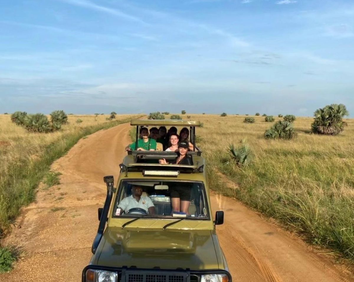 Discover the best time to book group safaris in Uganda for unforgettable wildlife and scenic adventures.