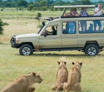 Scheduled Group Tours