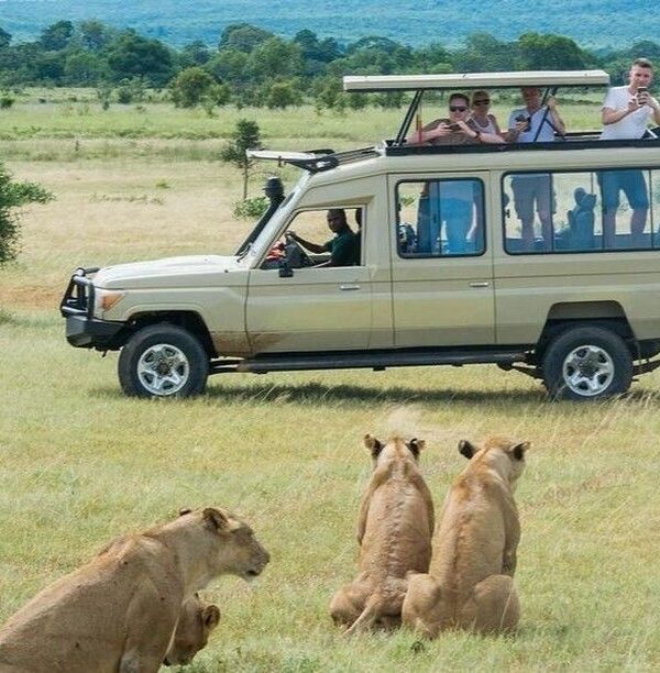 Scheduled Group Tours