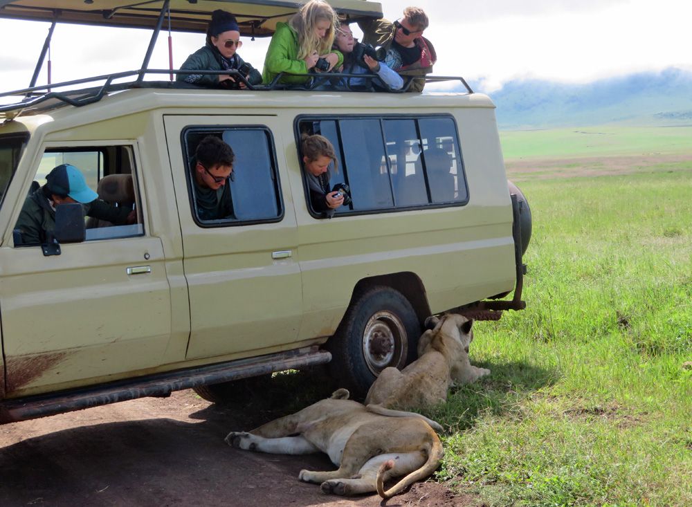 Guided Group Tours