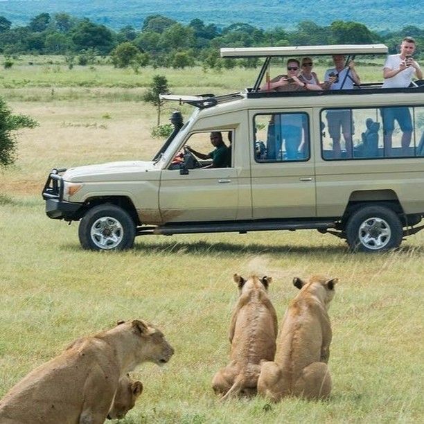 Scheduled Group Tours