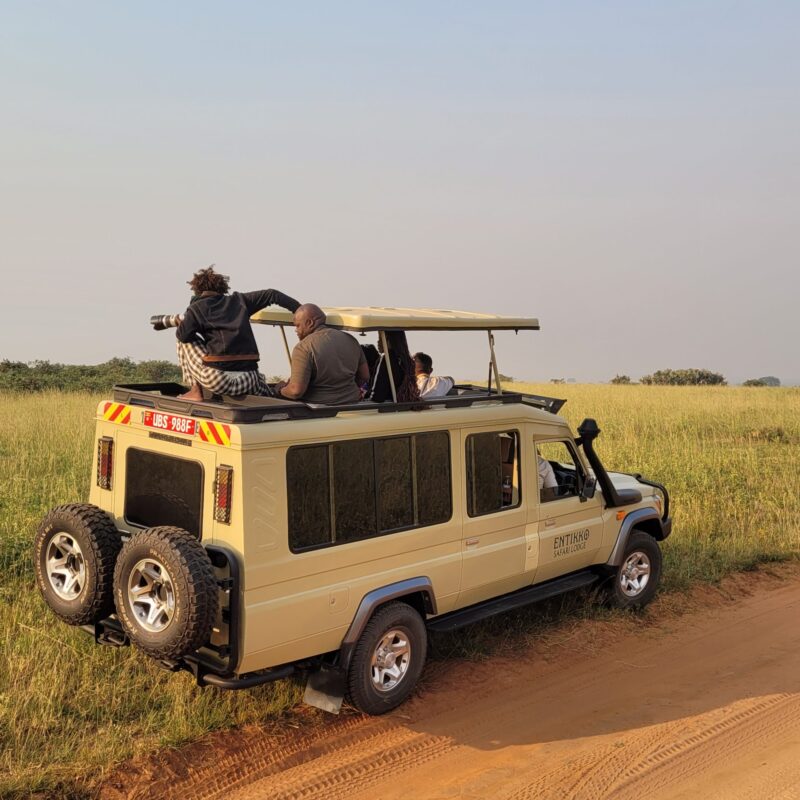 game drive. Group Safaris