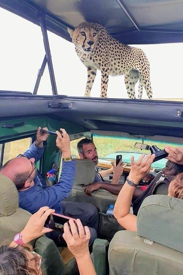Guided Group Tours