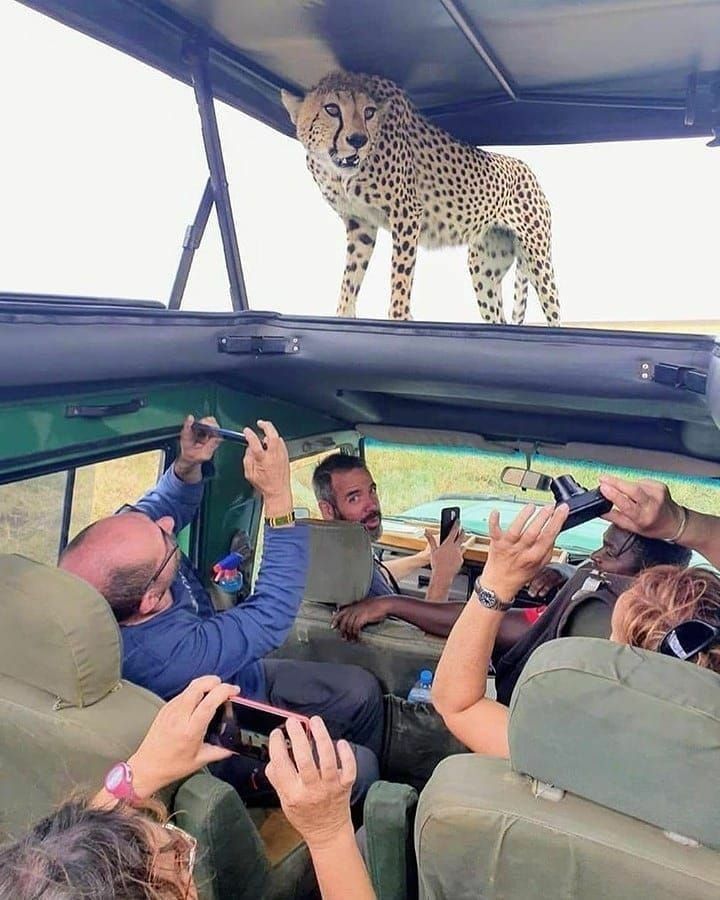 Guided Group Tours