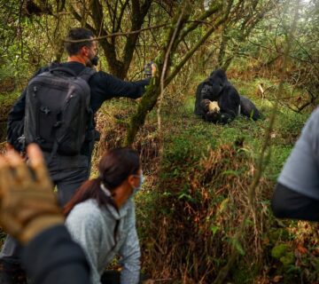 East Africa Group Adventures in East Africa top destinations  Visit Bwindi Impenetrable