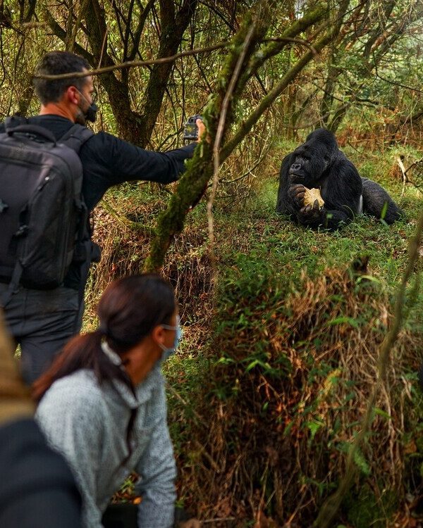East Africa Group Adventures in East Africa top destinations. Visit Bwindi Impenetrable