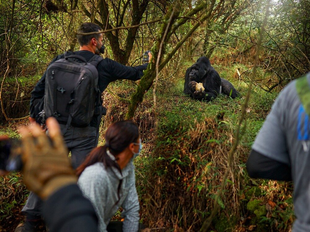East Africa Group Adventures in East Africa top destinations. Visit Bwindi Impenetrable