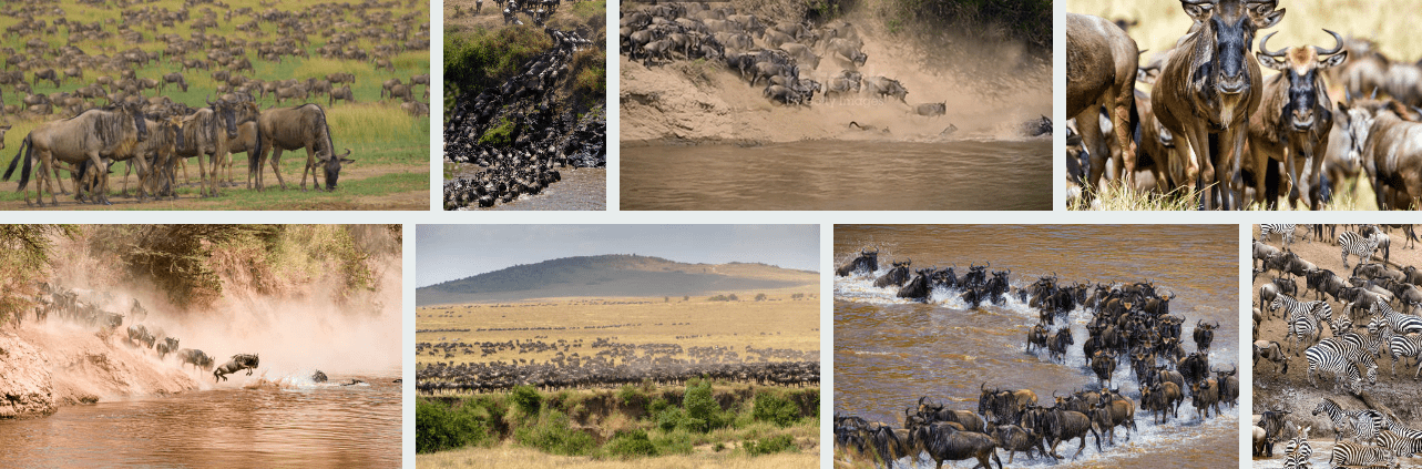 Explore Maasai Mara