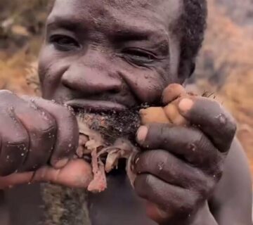 Hadzabe bushmen 360x320