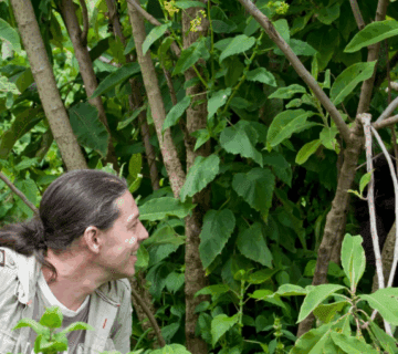 How to Plan a Honeymoon Safari in Rwanda: A Romantic Adventure of a Lifetime