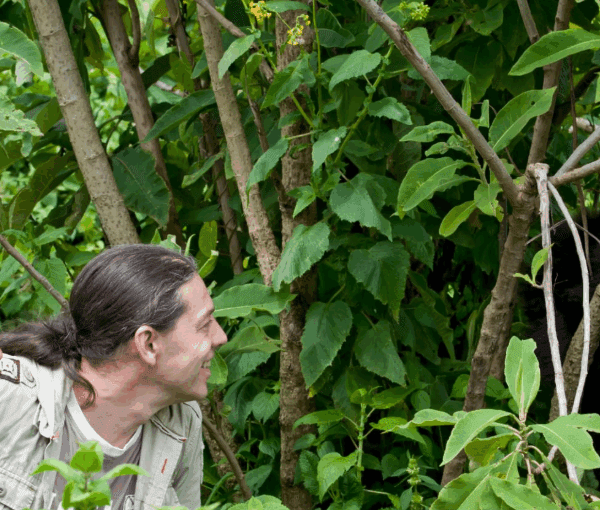 How to Plan a Honeymoon Safari in Rwanda: A Romantic Adventure of a Lifetime