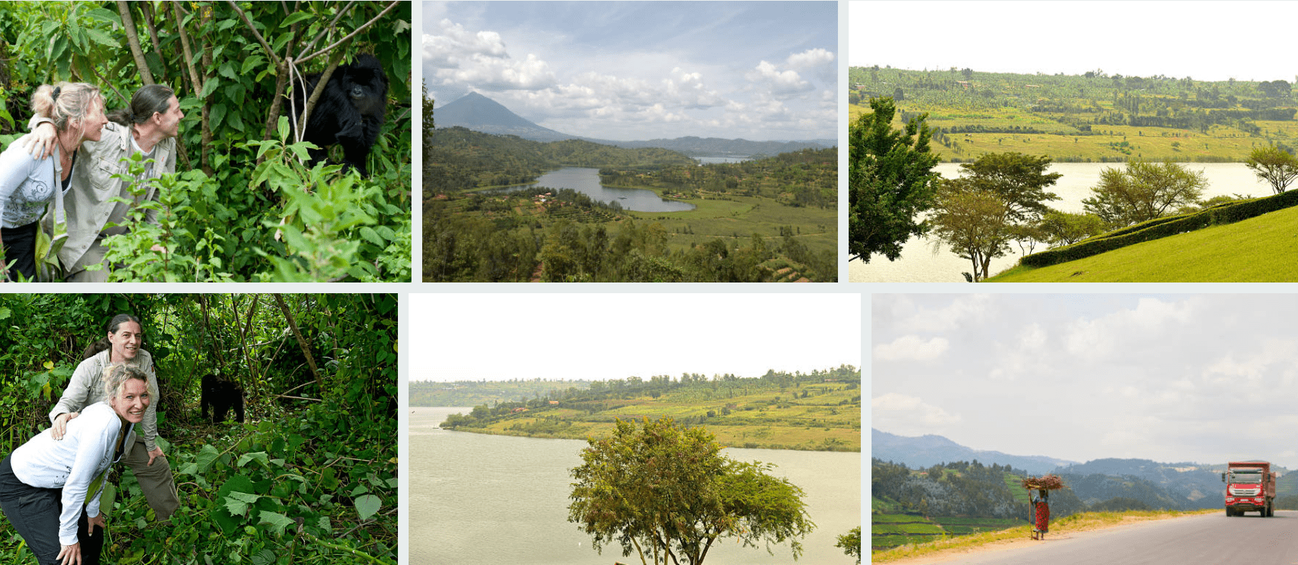 How to Plan a Honeymoon Safari in Rwanda 2 horneymoon safari