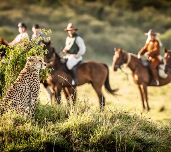 Horseback Riding Group Safaris