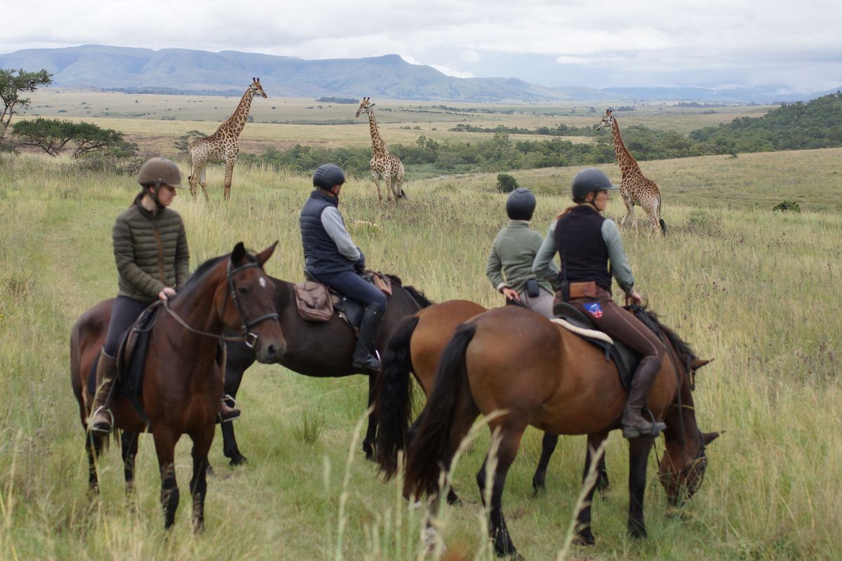 Horseback Riding Group Safaris