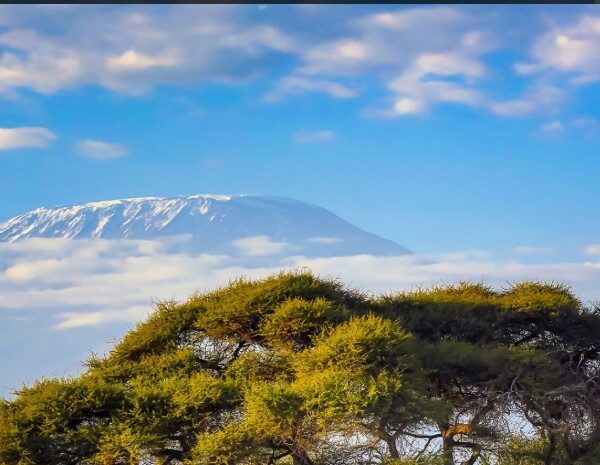 Snow-capped peak of Mount Kilimanjaro rising above the clouds