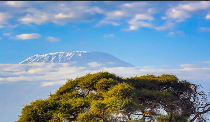 Snow-capped peak of Mount Kilimanjaro rising above the clouds