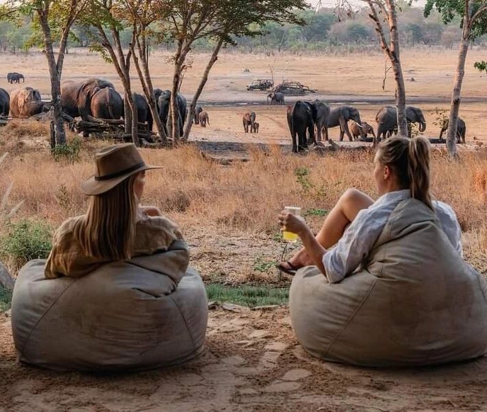 Celebrity Group Safaris