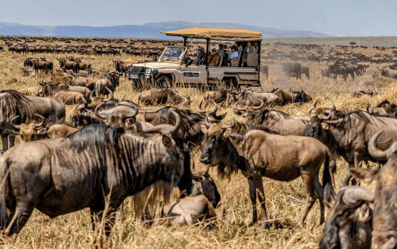 Tailor-made Group Travel to Masai Mara