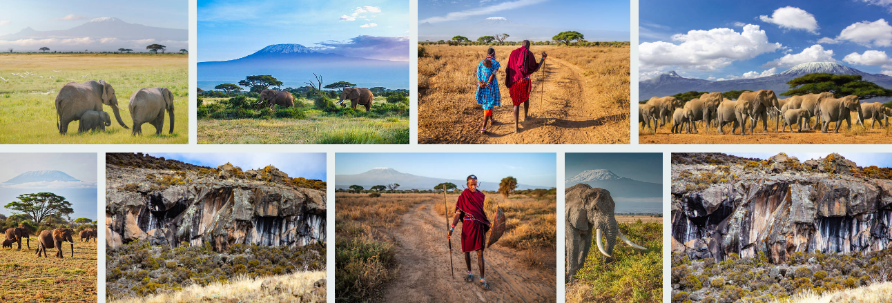 Group Safari Tours in Kenya’s Maasai Mara