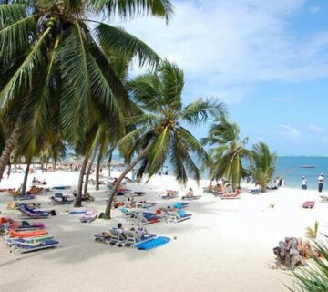 Mombasa beach 360x320