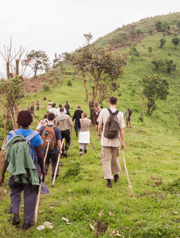 Mountain Hiking Tours in Uganda: A Journey of Adventure, Resilience, and Self-Discovery