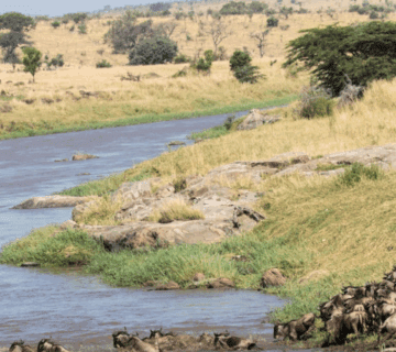 Exciting Multi-Day Rafting Trips adventure