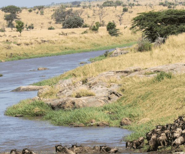 Exciting Multi-Day Rafting Trips adventure
