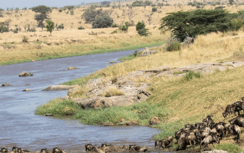 multi-day-rafting-in-tanzania Exciting Multi-Day Rafting Trips adventure
