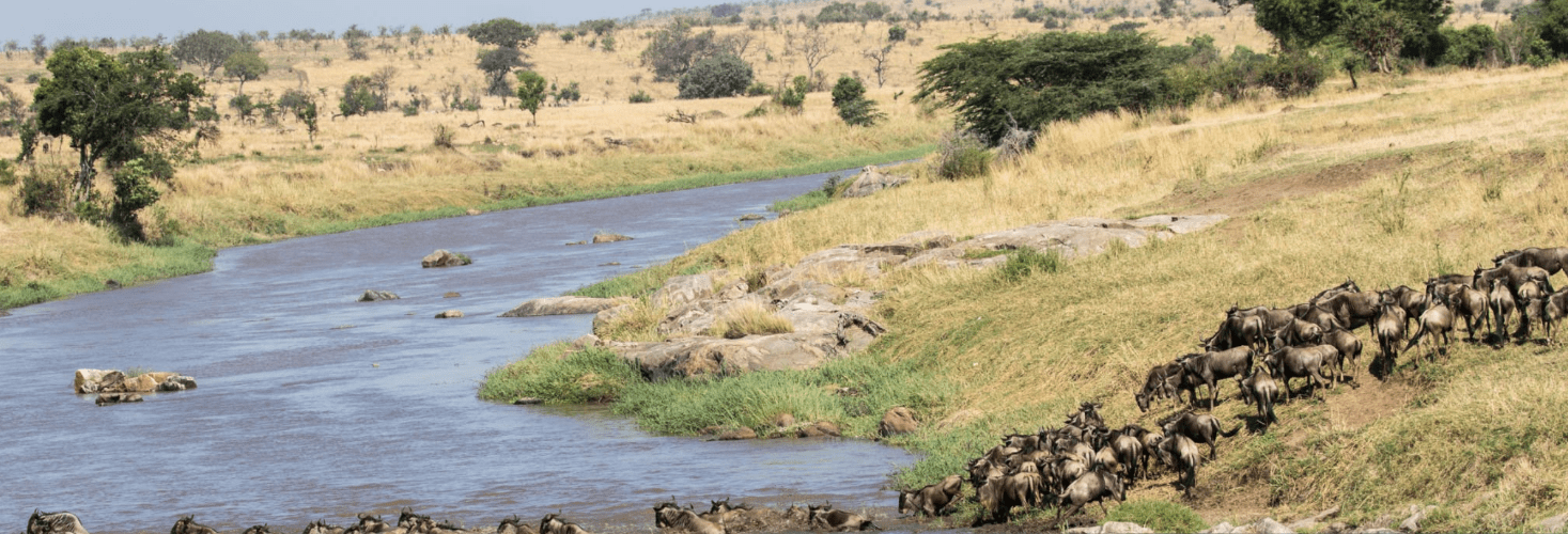 Exciting Multi-Day Rafting Trips adventure