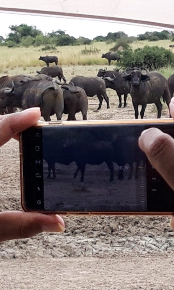 Group Safari Payment Plans – Affordable Booking Options