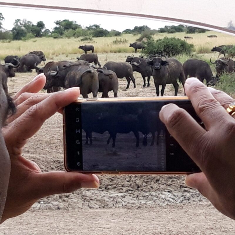 Group Safari Payment Plans – Affordable Booking Options