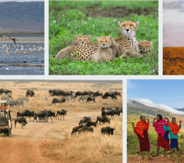 Explore Serengeti & Ngorongoro on group safaris in Tanzania