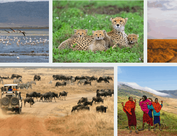 Explore Serengeti & Ngorongoro on group safaris in Tanzania