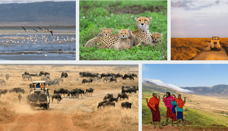 Explore Serengeti & Ngorongoro on group safaris in Tanzania