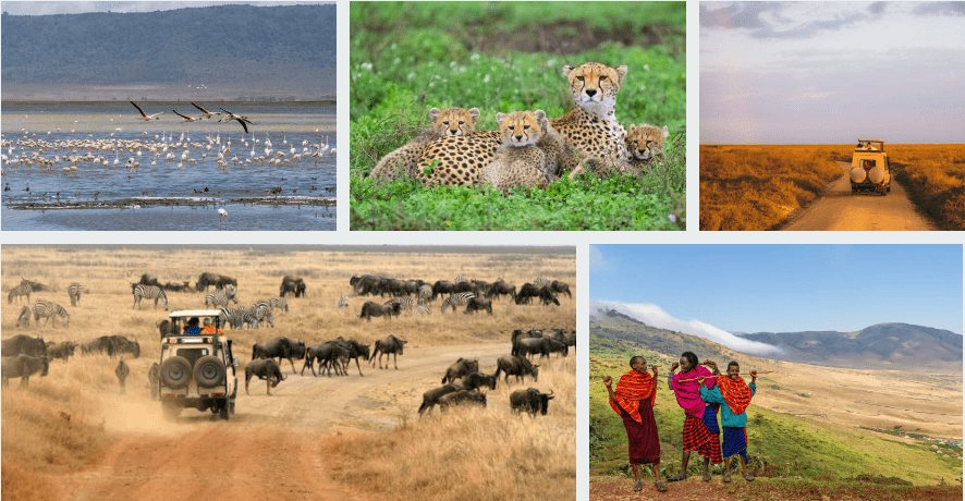 Explore Serengeti & Ngorongoro on group safaris in Tanzania